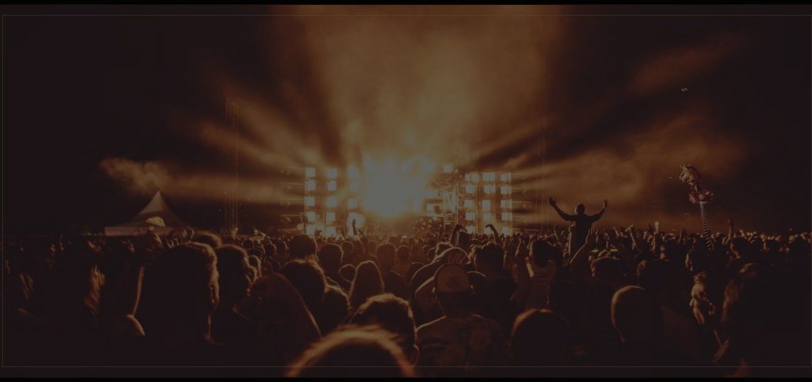 Live crowd at a concert